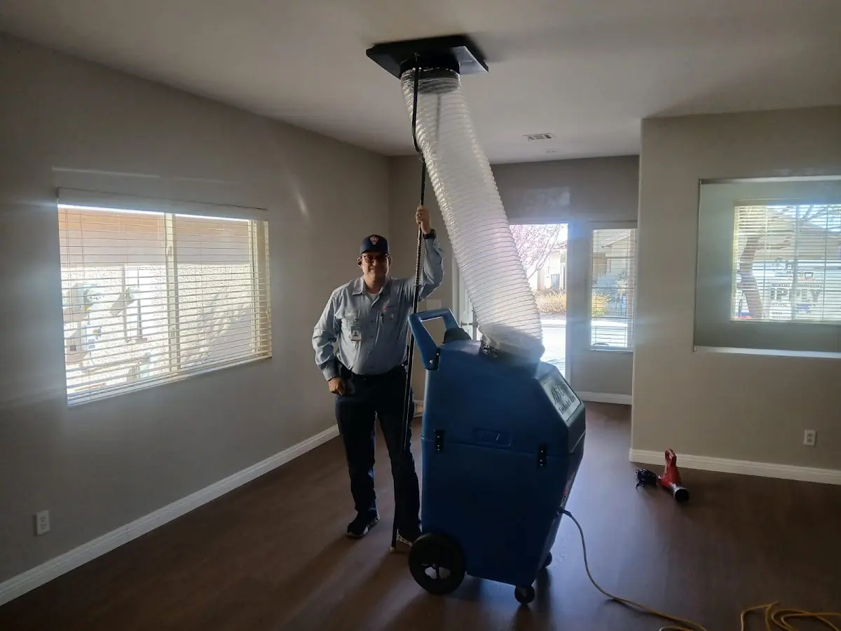Professional Dryer Vent Cleaning work inside a Montrose-Ghent home